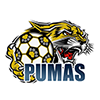 Soccer Logo